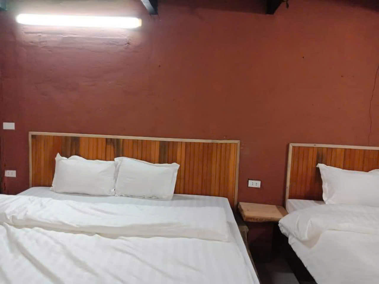 Y Tý 2